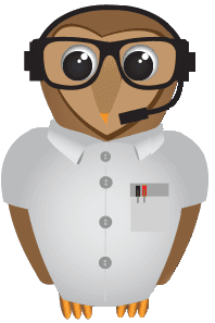 WiseGuys Protect My Devices service